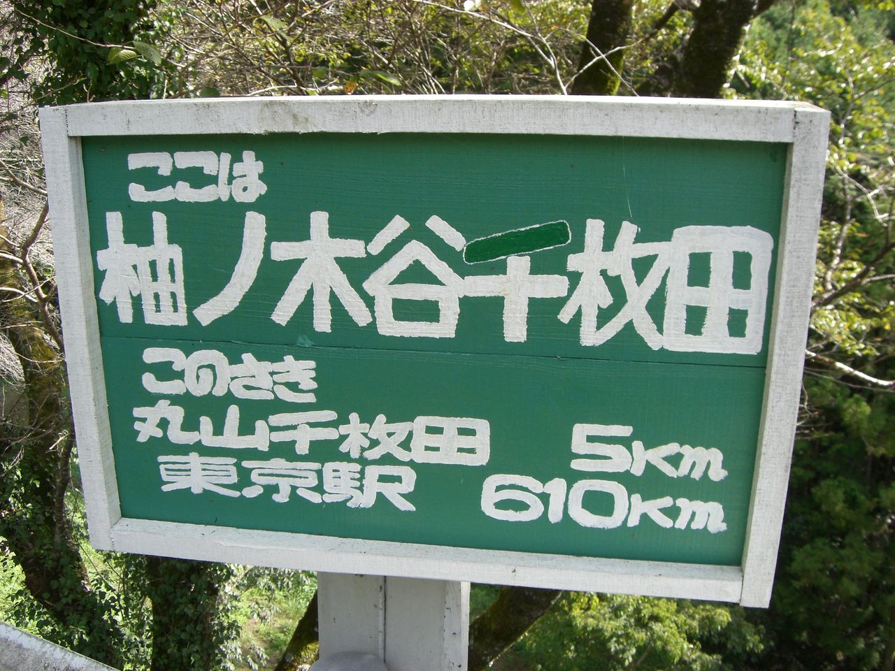 CIMG6745