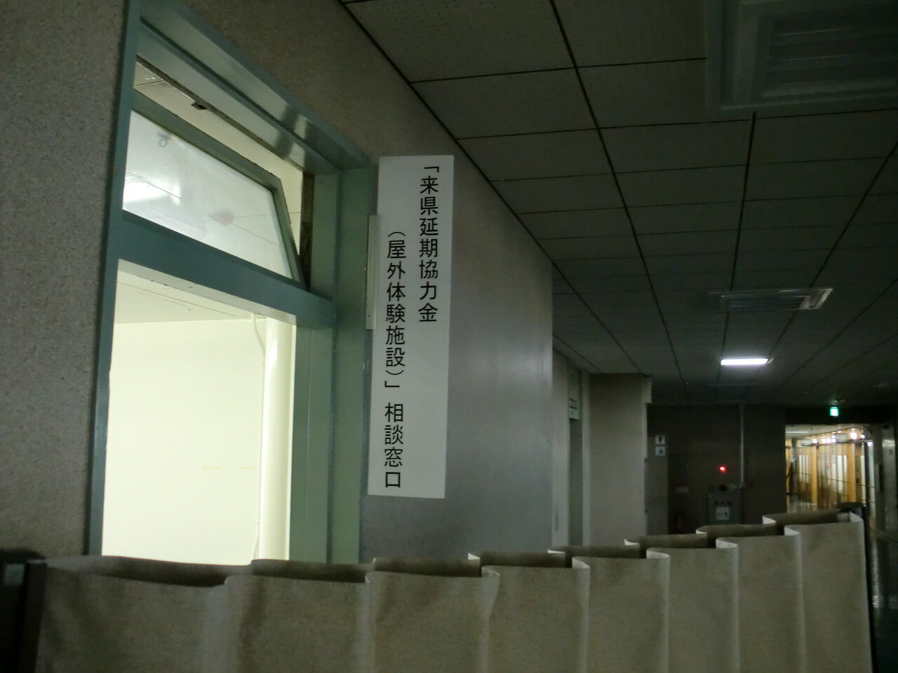 CIMG5117