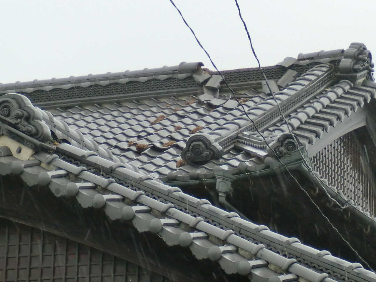 CIMG9592