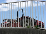 f67db387.jpg