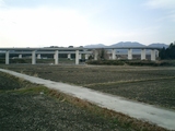 fbd66279.JPG
