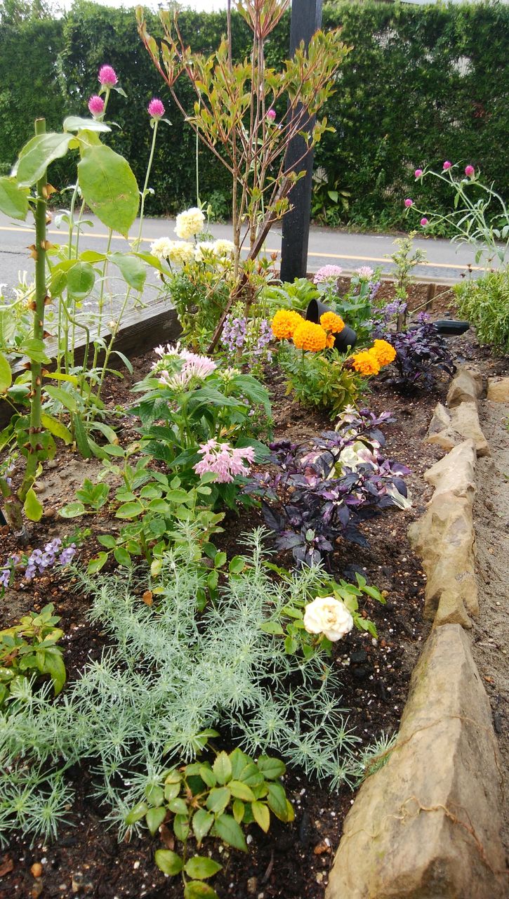 Diy花壇のビフォーアフター きの子のdiyガーデン