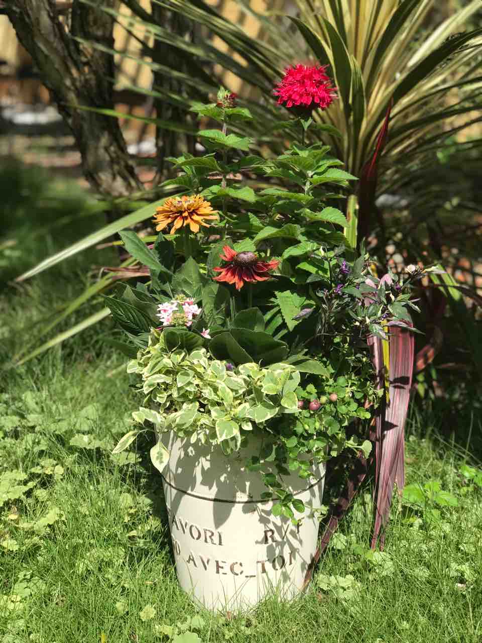 夏の寄せ植えの今 10月 きの子のdiyガーデン