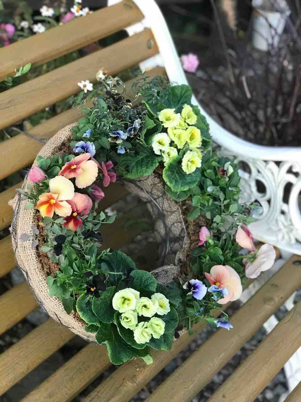 クリスマス用に寄せ植えリース きの子のdiyガーデン クリスマス用に寄せ植えリース きの子のdiyガーデン