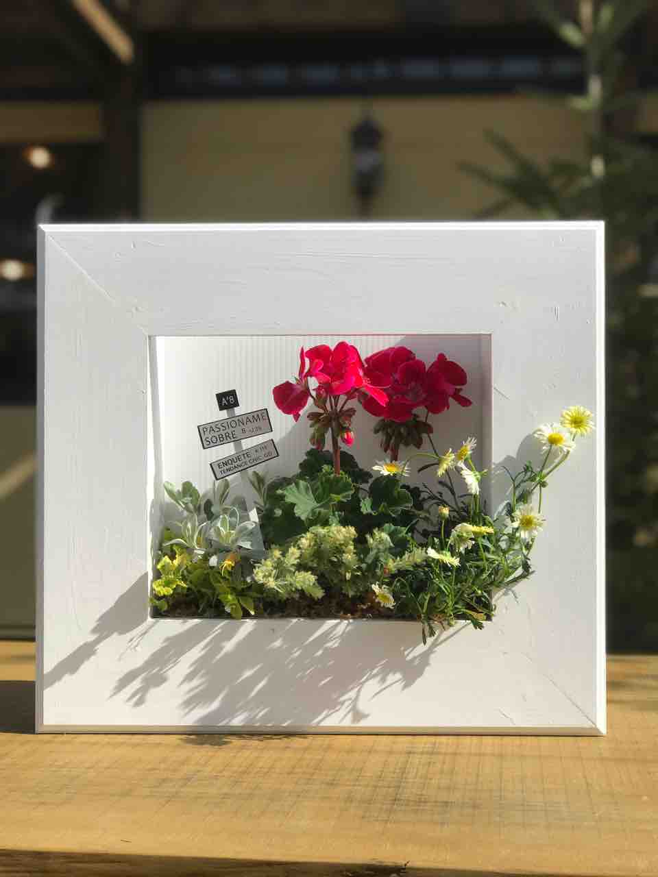 初めての 花はなフレーム きの子のdiyガーデン 初めての 花はなフレーム きの子のdiyガーデン
