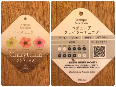 きの子のdiyガーデン