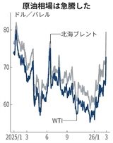 ���ͥ륮������ƭ���Ƥ���