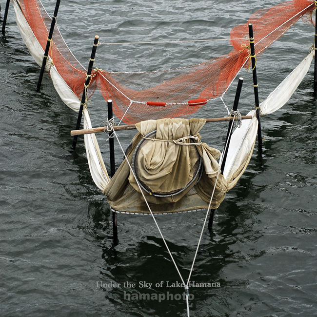 シラスウナギ専用 定置網 セール シラスウナギ用 小型定置網 2個セット