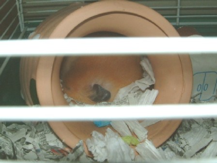 530ec434.jpg