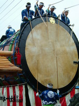 �����ݡʣ���