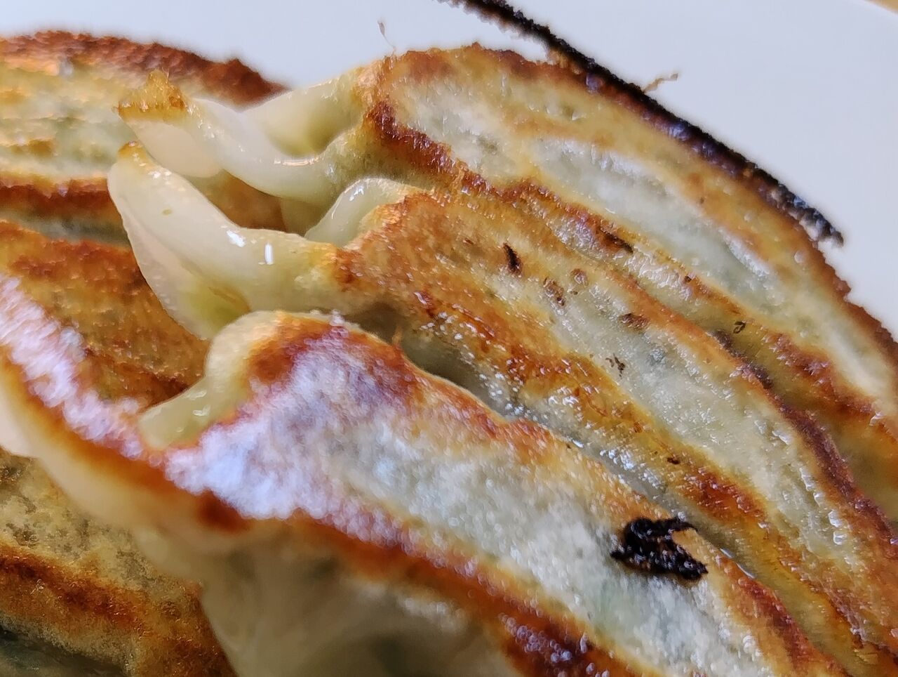 ☆やまちゃん : 高知ぐるぐるゴハン