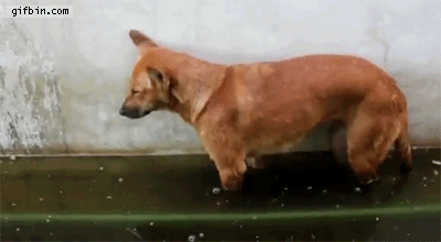 グロ注意 衝撃的なgif 右足速報