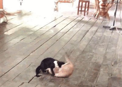 グロ注意 衝撃的なgif 右足速報