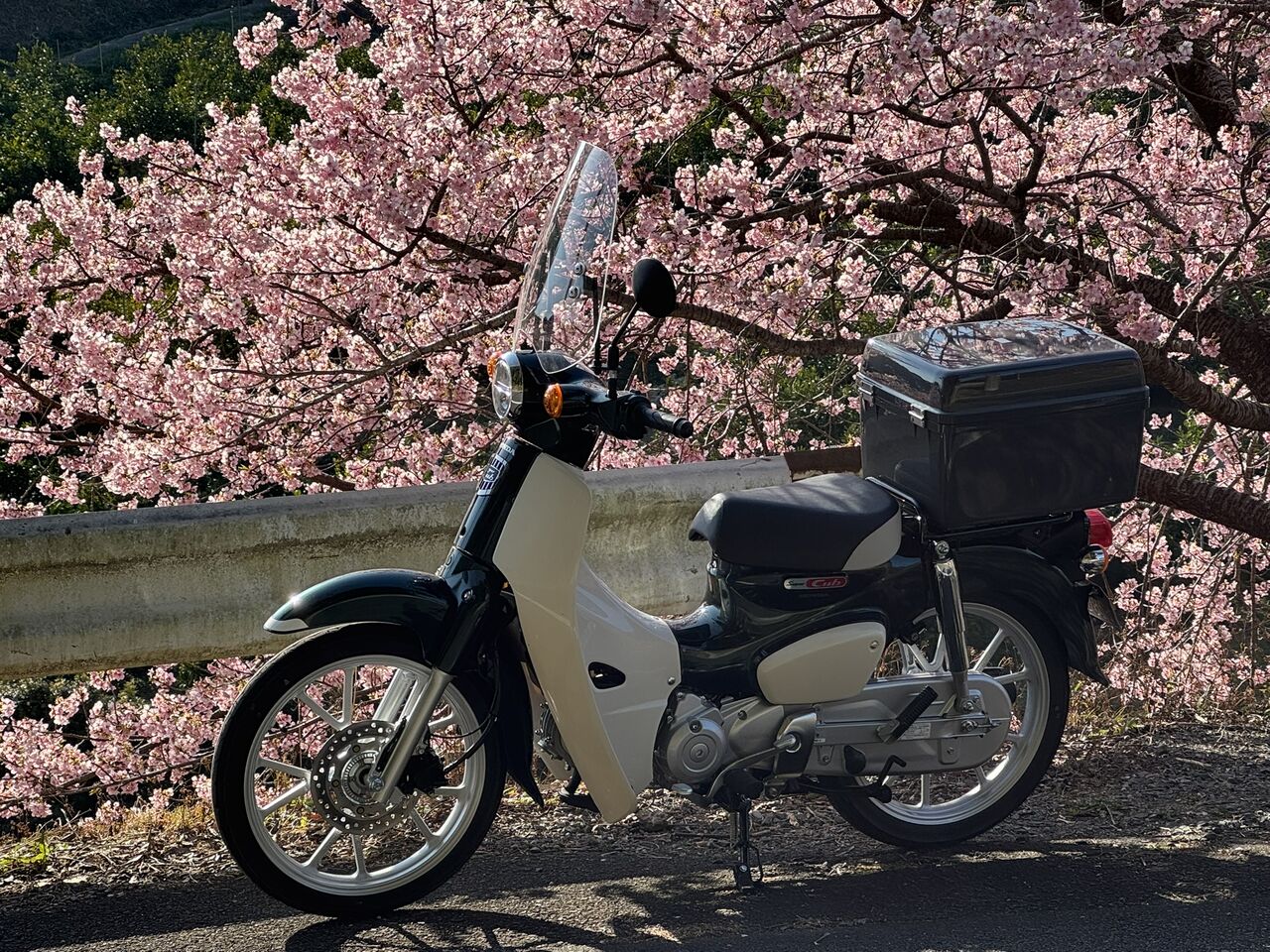 カブ110が来たってよ : 歪2013