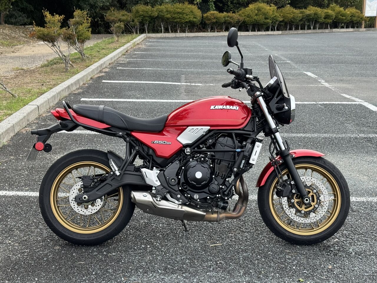 Z650RSにSSB取り付け : 歪2013