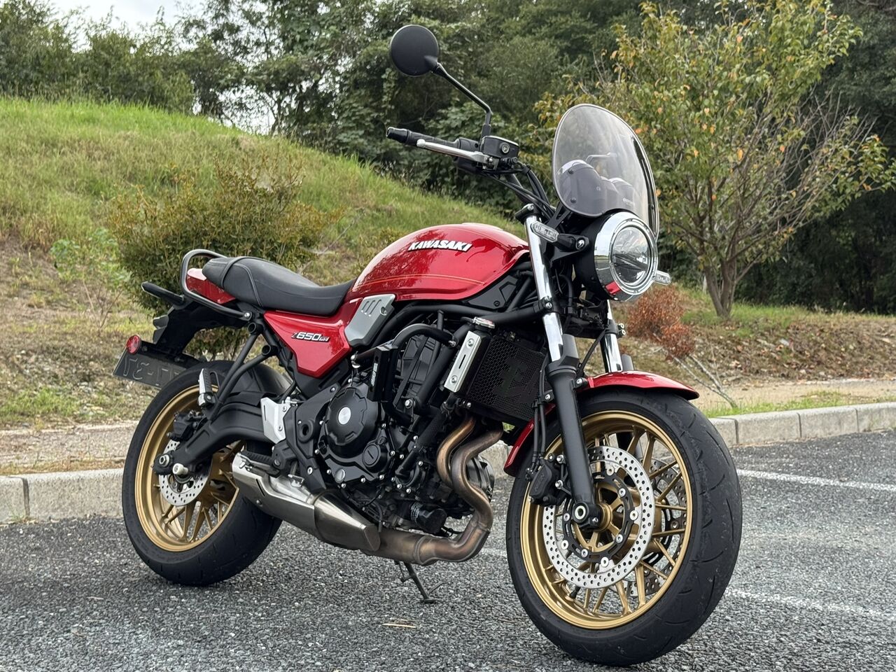 Z650RSにSSB取り付け : 歪2013