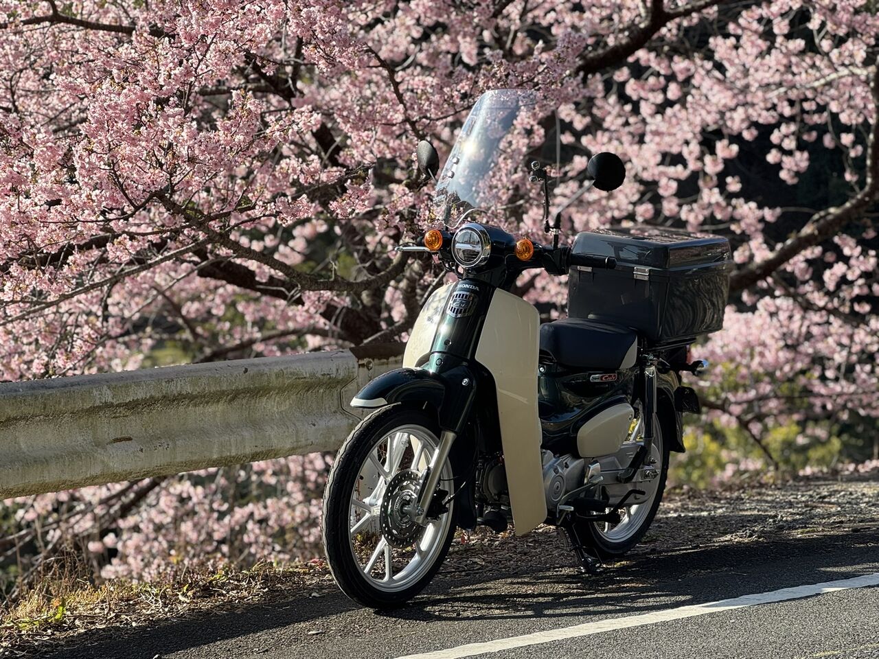 カブ110が来たってよ : 歪2013