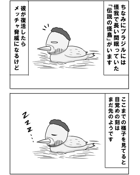 ブラジル18