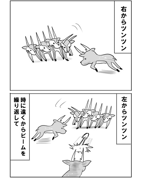 チュニジア11