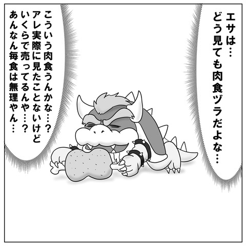 クッパ7