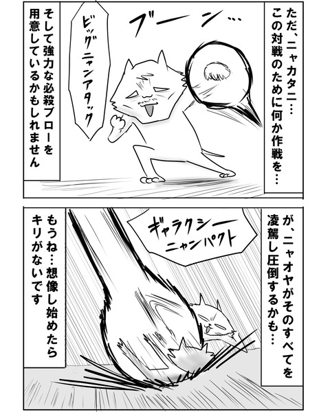 ニャオヤ13