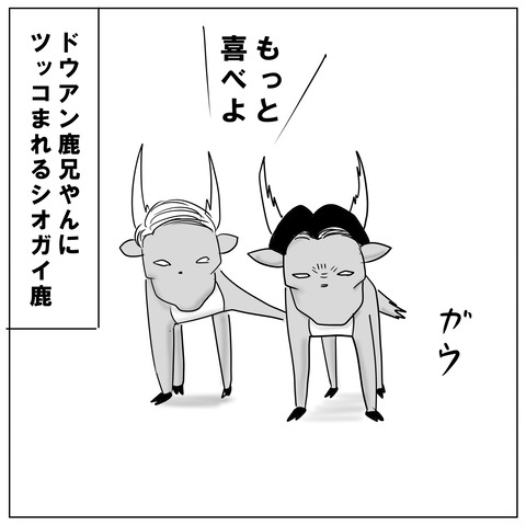 シオガイ8