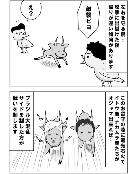 ブラジル16