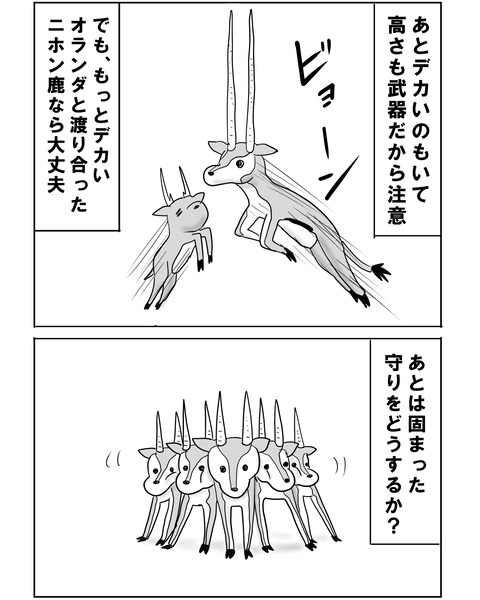 チュニジア10