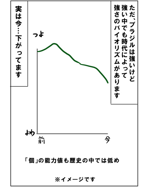 ブラジル13