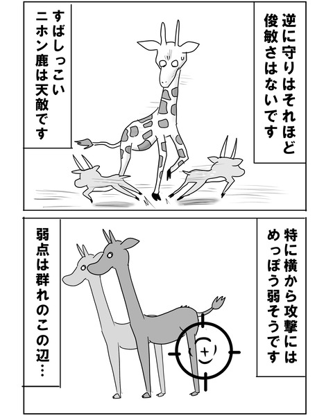 スウェーデン8