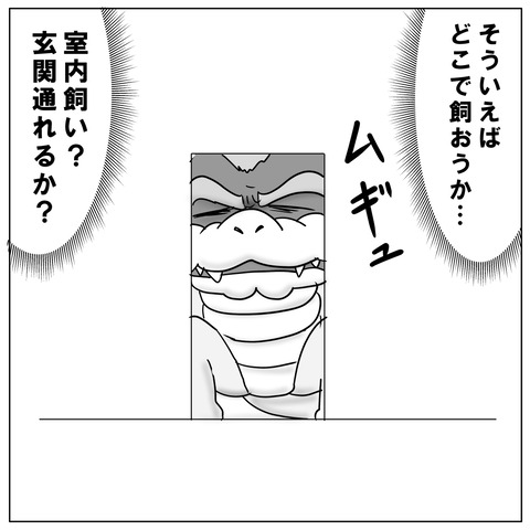クッパ5