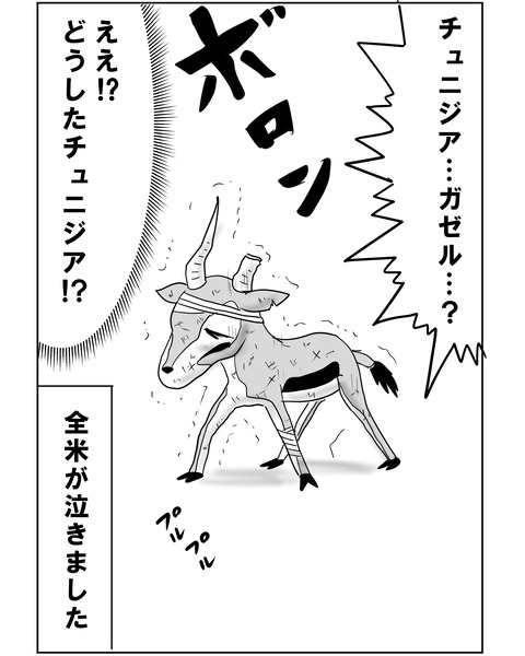 チュニジア4