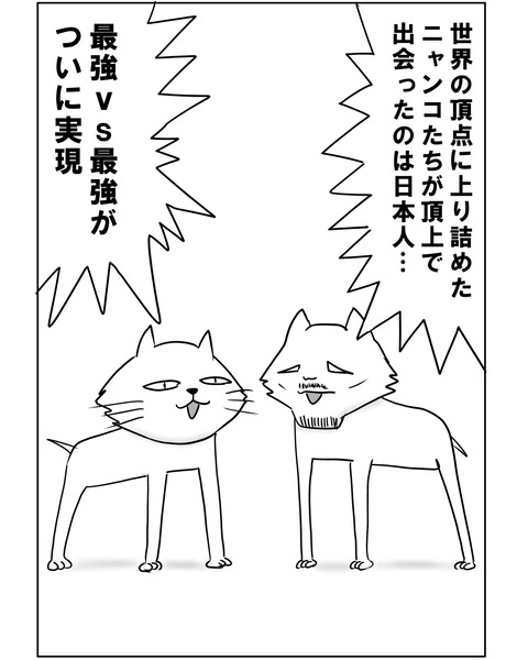 ニャオヤ5