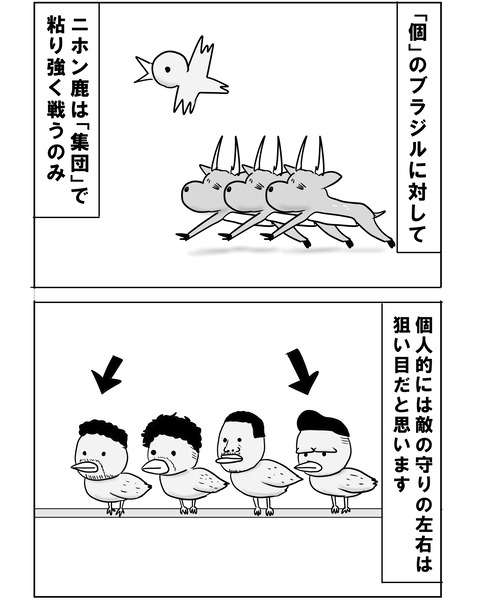 ブラジル15