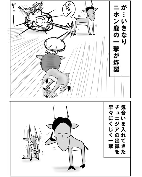 チュニジア戦2