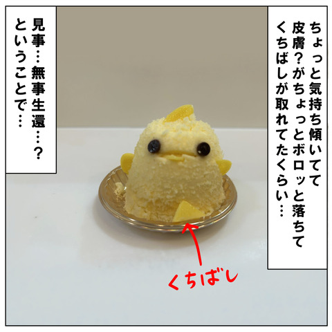 ぴよりんチャレンジ8
