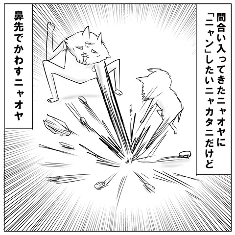 ニャオ9