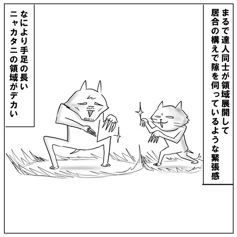 ニャオ7