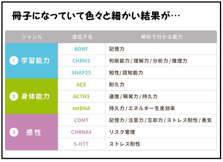 コウノトリが二羽飛んできた