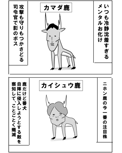 予習11