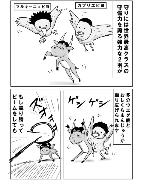 ブラジル11