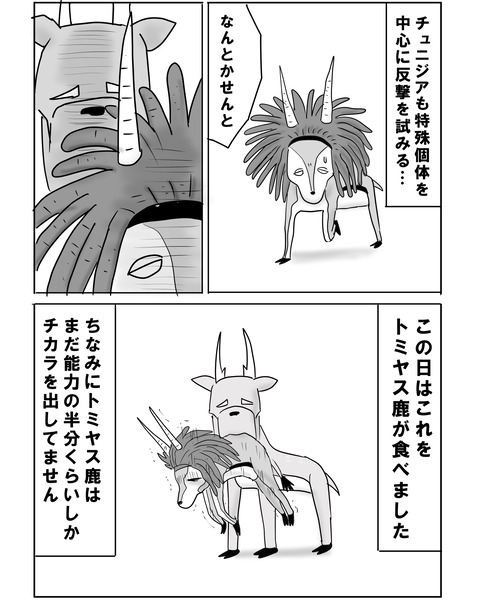 チュニジア戦7
