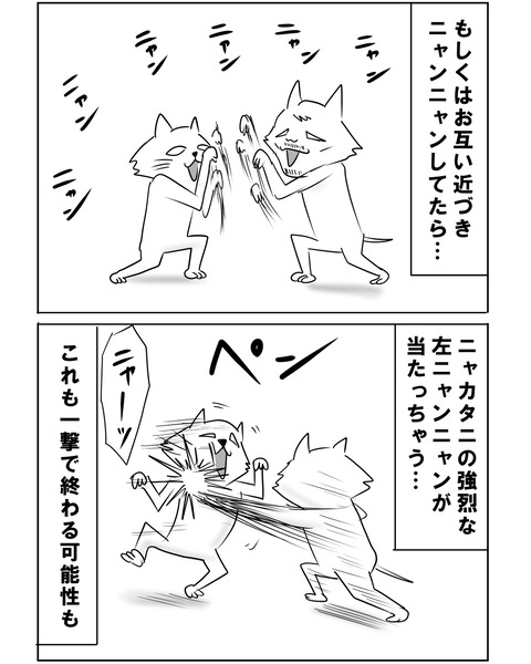 ニャオヤ11