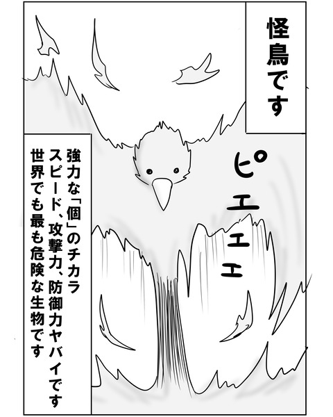 ブラジル4