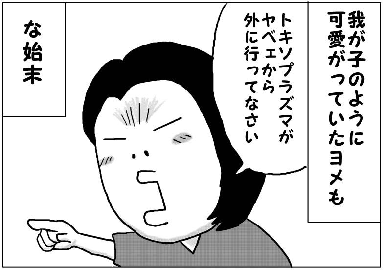 ニャ崩壊⑤