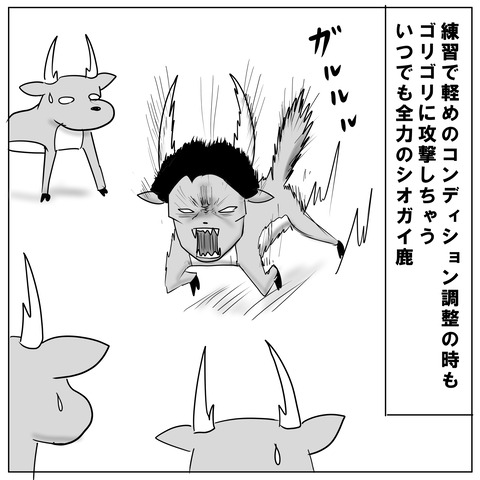 シオガイD