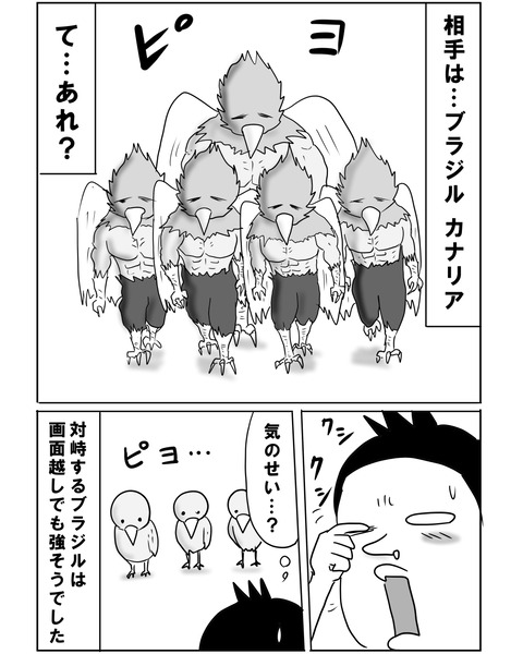 続ブラジル2