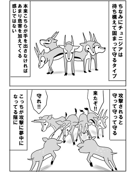 チュニジア7