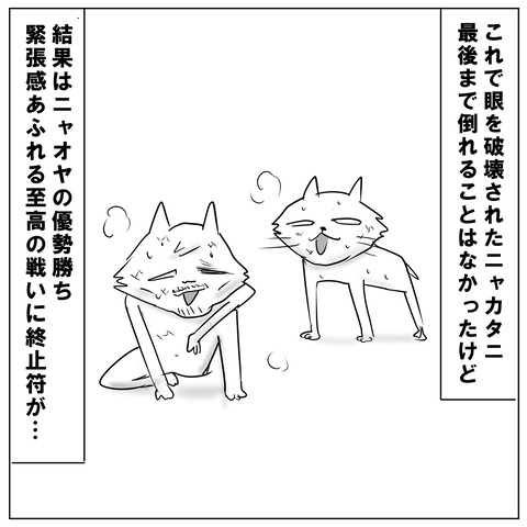 ニャオ12