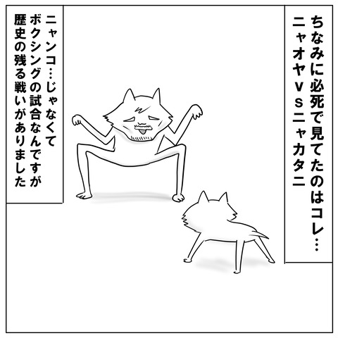 ニャオ6